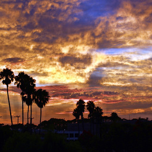 Luv Them Hoes (feat. Donya'e Gordon, Micah Foster & Robert Norman ) (Explicit)