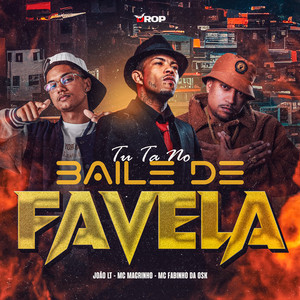 Tu Ta No Baile de Favela