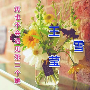 再也不会遇见第二个她 (Single Version)