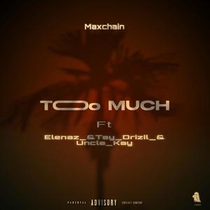 Too much (feat. Tay Drizil, Uncle kay & Elenaz) (Explicit)