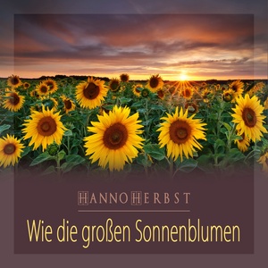 Wie die großen Sonnenblumen