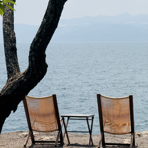 Song F封面