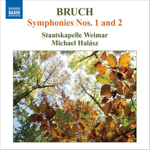 Symphony No. 1 in E-Flat Major, Op. 28 - I. Allegro maestoso