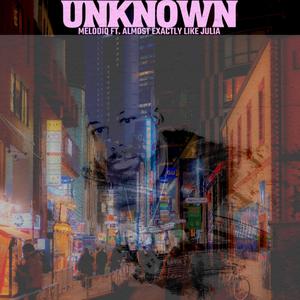 Unknown (feat. Almost Exactly Like Julia)