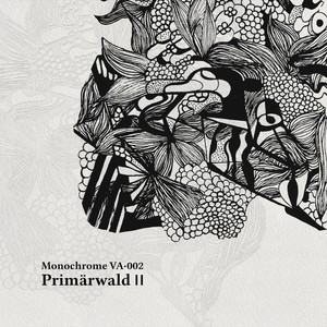 Primärwald II