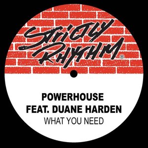 What You Need (Full Intention Radio Edit)