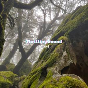 Thrilling Sound ( relax )