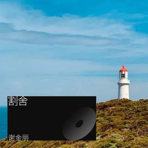 麦王力量 (伴奏)