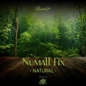 Natural (Original Mix)