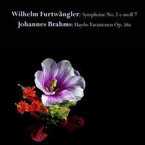 Variationen über ein Thema von Joseph Haydn in D Major, Op. 56a - 56a