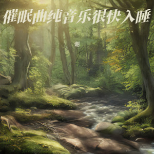 深度睡眠曲5分钟入睡 治愈重度失眠 - 谢封面