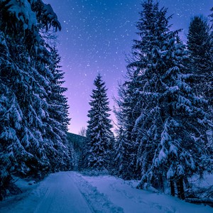 A Christmas Dream: Ultimate Relaxation Music Collection 2018