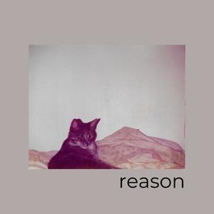 reason