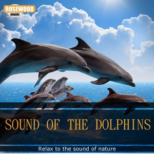 Sound of the Dolphins