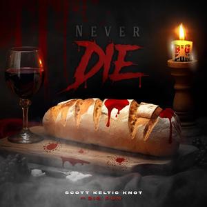 Never Die (feat. Big Pun) [Explicit]