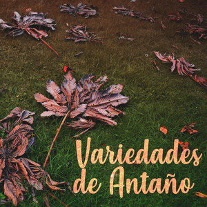 Cariño Eterno
