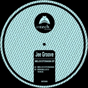 Brasillico Voice (Original Mix)