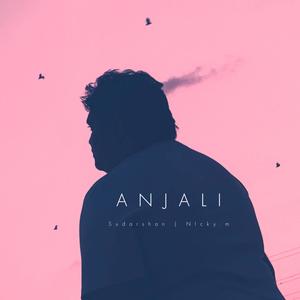 Anjali (feat. Nicky.M) (Special Version)