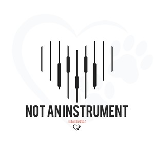 NOT AN INSTRUMENT (Explicit)