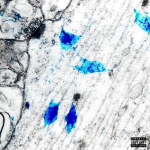 Skeleton Keys (feat. Off11ine) (Explicit)