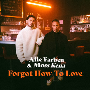 Forgot How to Love (Extended Mix)