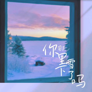 你那里下雪了吗