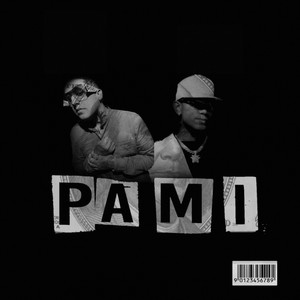 Pami