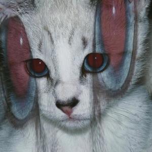 Kuando kieras regresar (Explicit)