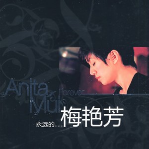 你把我灌醉 - 梅艳芳封面