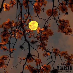 Stationary (Explicit)