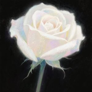 盛夏芬德拉-LEVITG