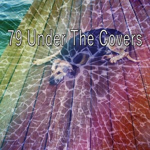 79 Under the Covers