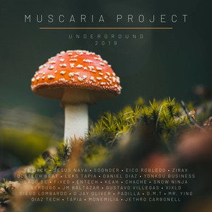 Muscaria Project Underground 2019