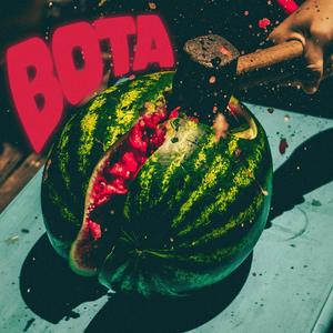 BOTA (feat. Sheiku & The Red Noise) [Explicit]