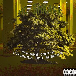 Весточка оттуда