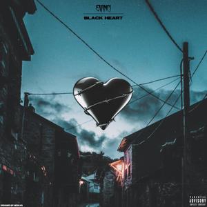 Ridin Shotgun(feat. Shaun Bily) (Explicit)