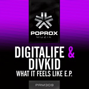What It Feels Like (DDei&Estate Remix)