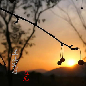 逆流成河 (男生版)