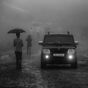 叶子舒 - 该死的温柔