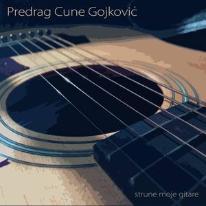 Strune moje gitare