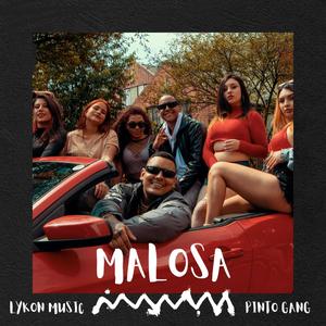 Malosa (feat. Pinto gang) [Explicit]