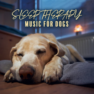Relaxing Music for Dogs
