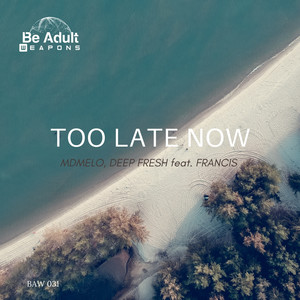 Too Late Now (Funk Remix)