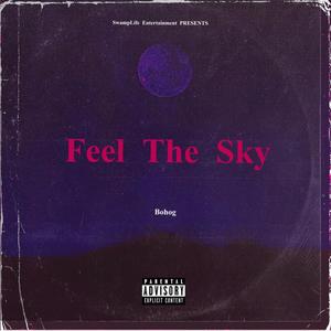 Feel The Sky (Explicit)