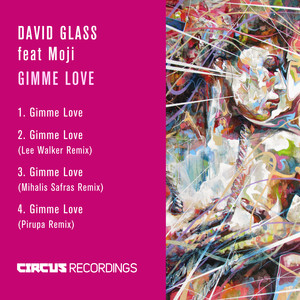 Gimme Love (Mihalis Safras Remix)