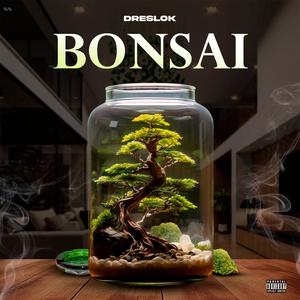 bonsai (Explicit)