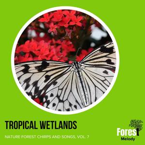 Tropical Wetlands - Nature Forest Chirps and Songs, Vol. 7