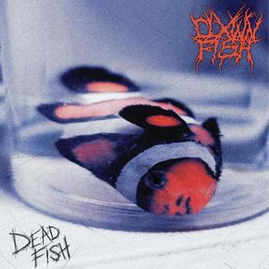 Dead Fish EP (Explicit)