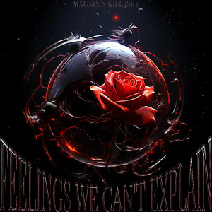 feelings we cant explain (Explicit)