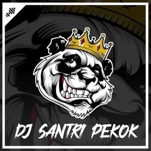 DJ Santri Pekok